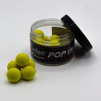 Pop-Up Boiles in Barattolo 40 gr Scopex 20 mm